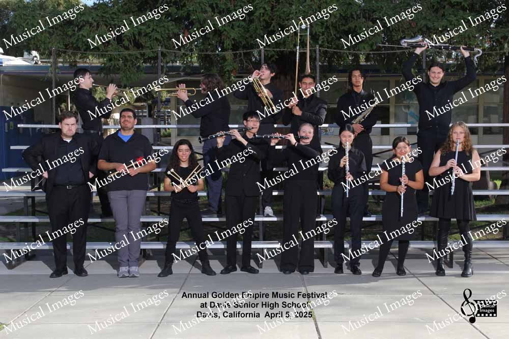 Musical Images